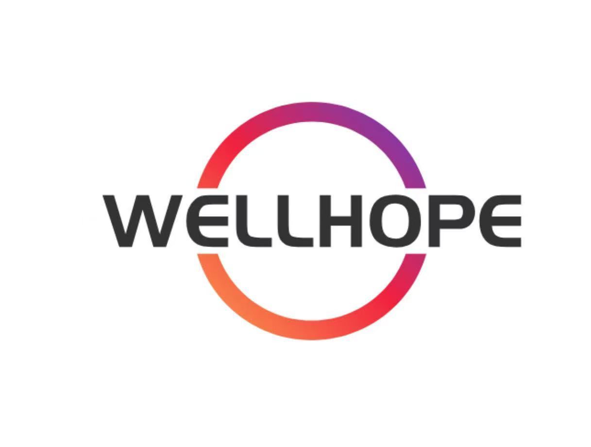 Wellhope Materials Technology CO., LTD